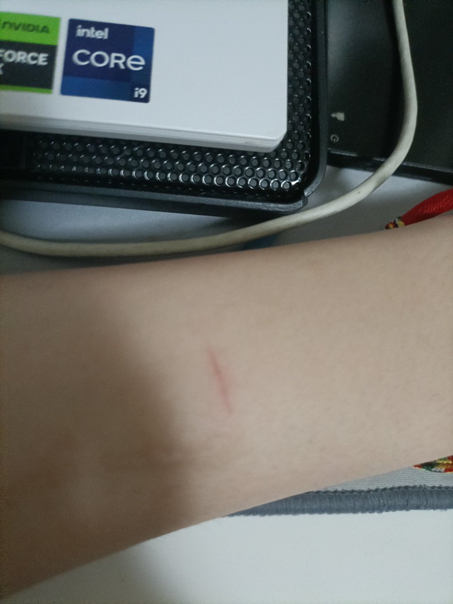 黄瓜🍥🏳️‍⚧️ tweet media