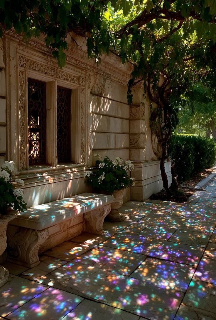 الدرويش العاشق tweet media