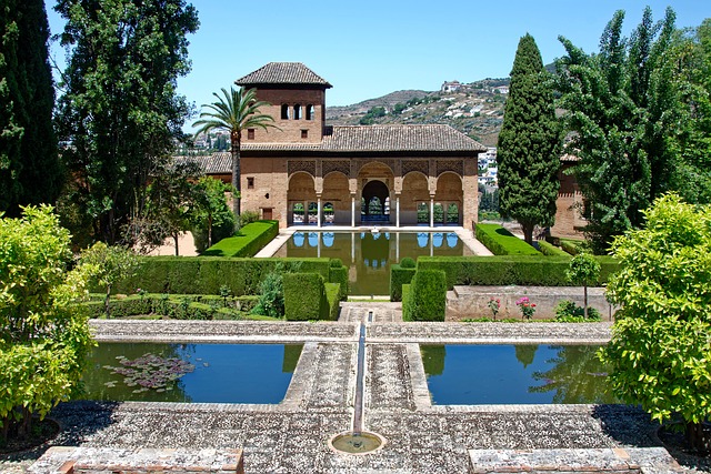 Wayne Cook tweet media