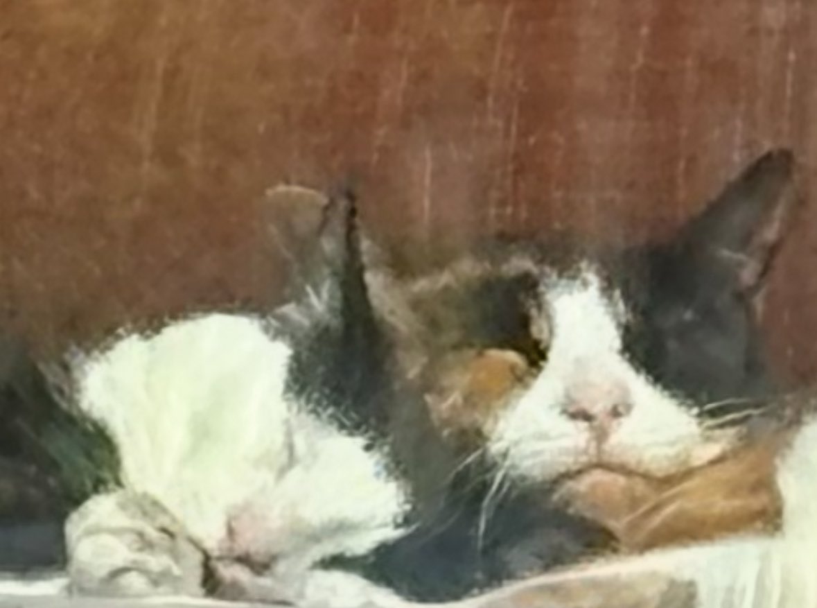 Dr. Faustroll tweet media