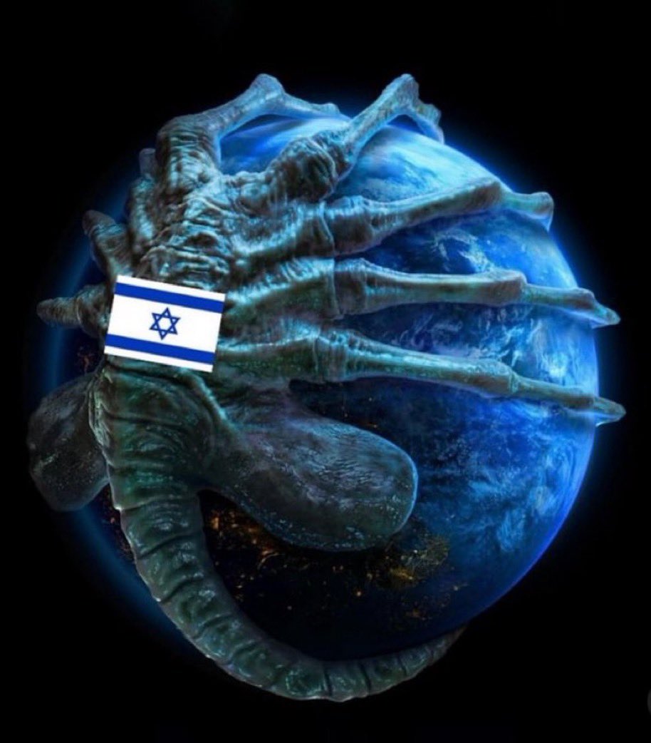 Melissa Wong tweet media