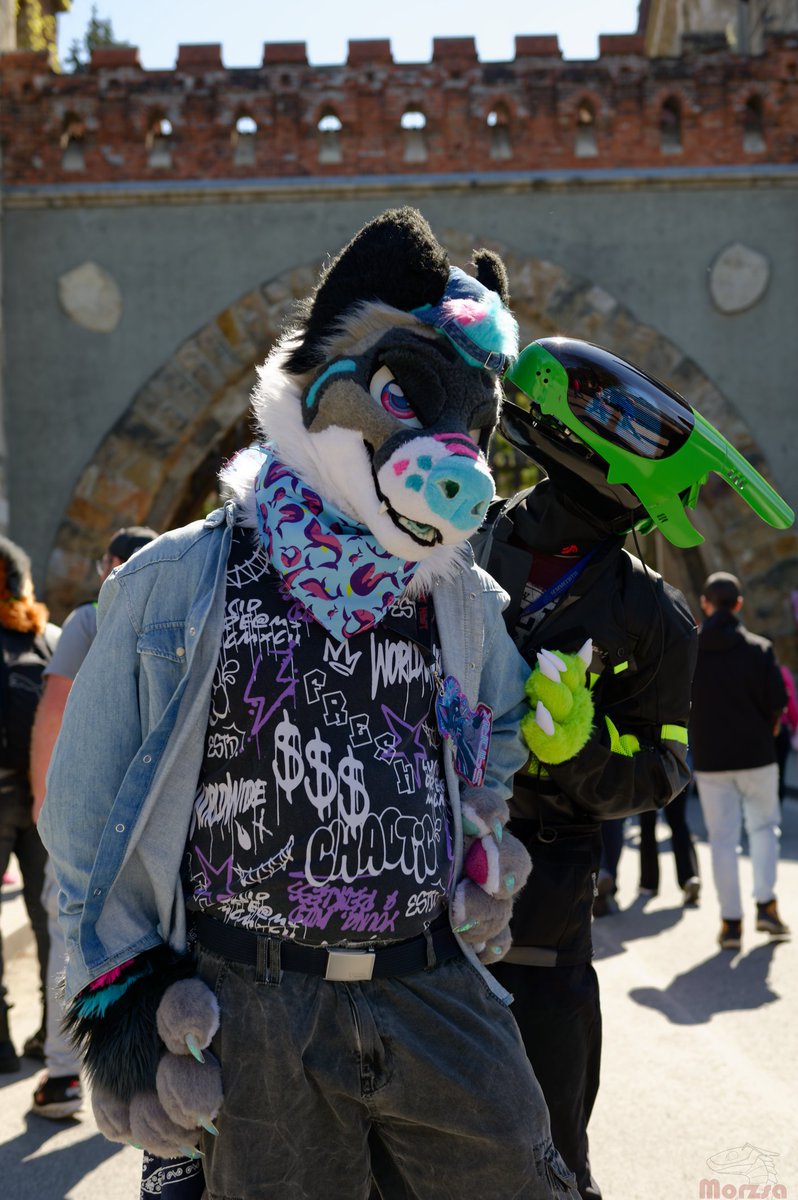 Lime Dev tweet media