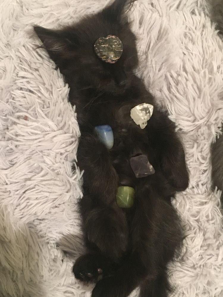 햄랄.. tweet media