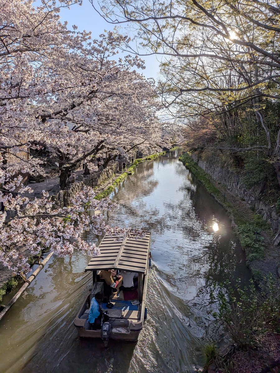 今日、マジでどこも人ヤバい多かった