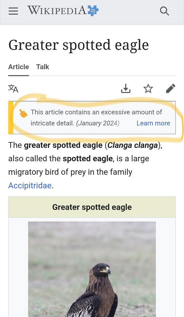 irys ꏍ bird oomf tweet media