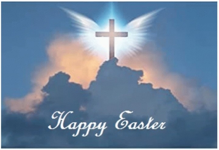 Wavedancer 228 tweet media