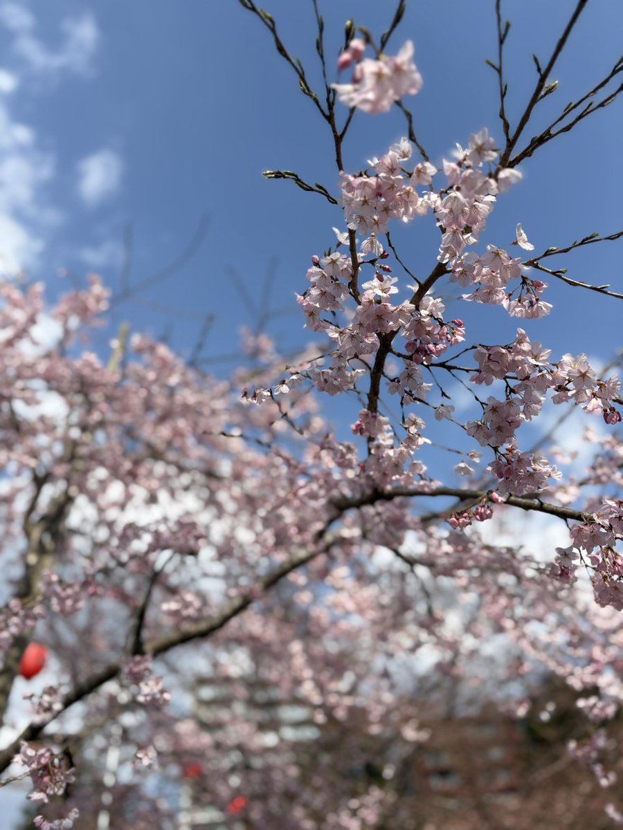 だだ🏄‍♂️ tweet media