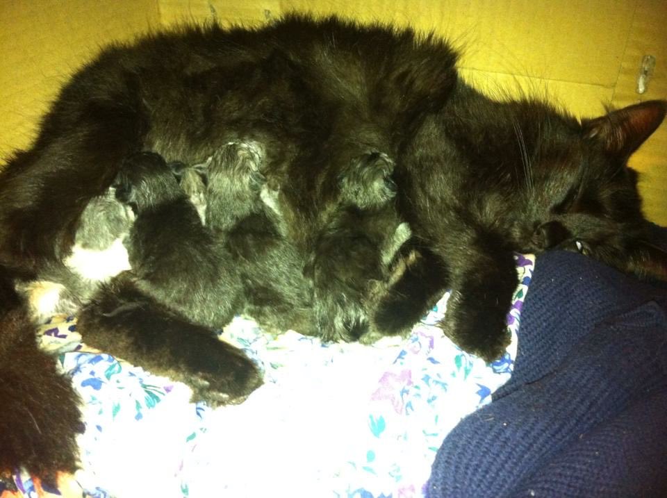 pfftlecakes 🌻🔆🍉 tweet media