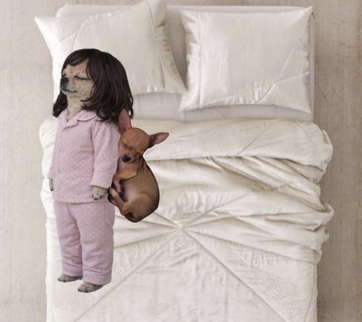 El Guarromántico tweet media