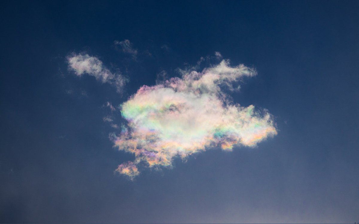 Sufflection.wav tweet media