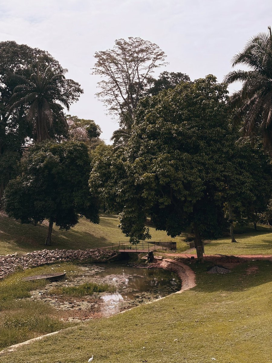 NoteSphere's tweet image. Place: IITA, Ibadan, Nigeria.
Lens: @o_gonna_  📸