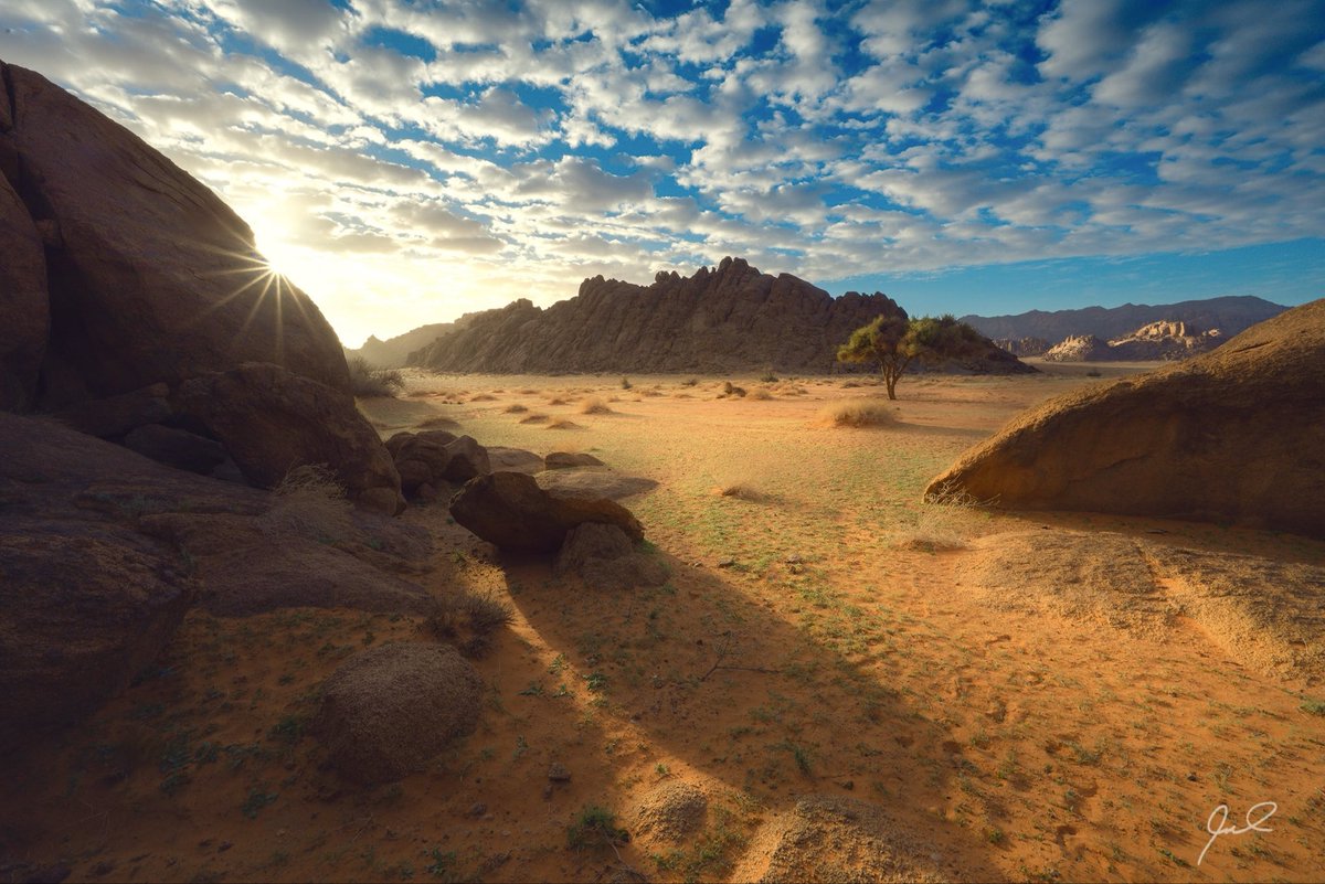 دحيم الدحيم tweet media