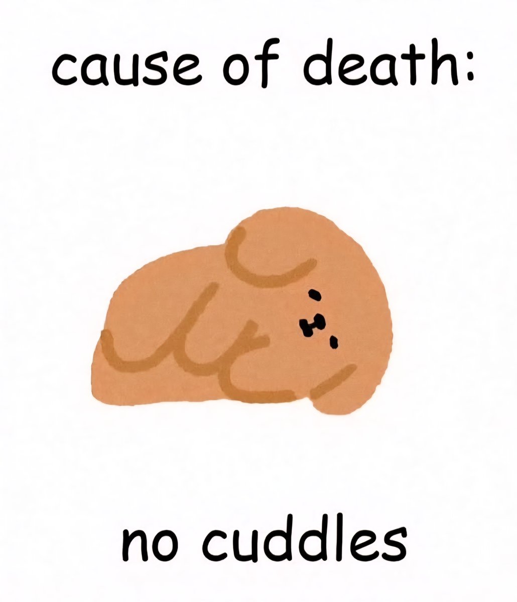 Adoring You Daily ♡︎ tweet media