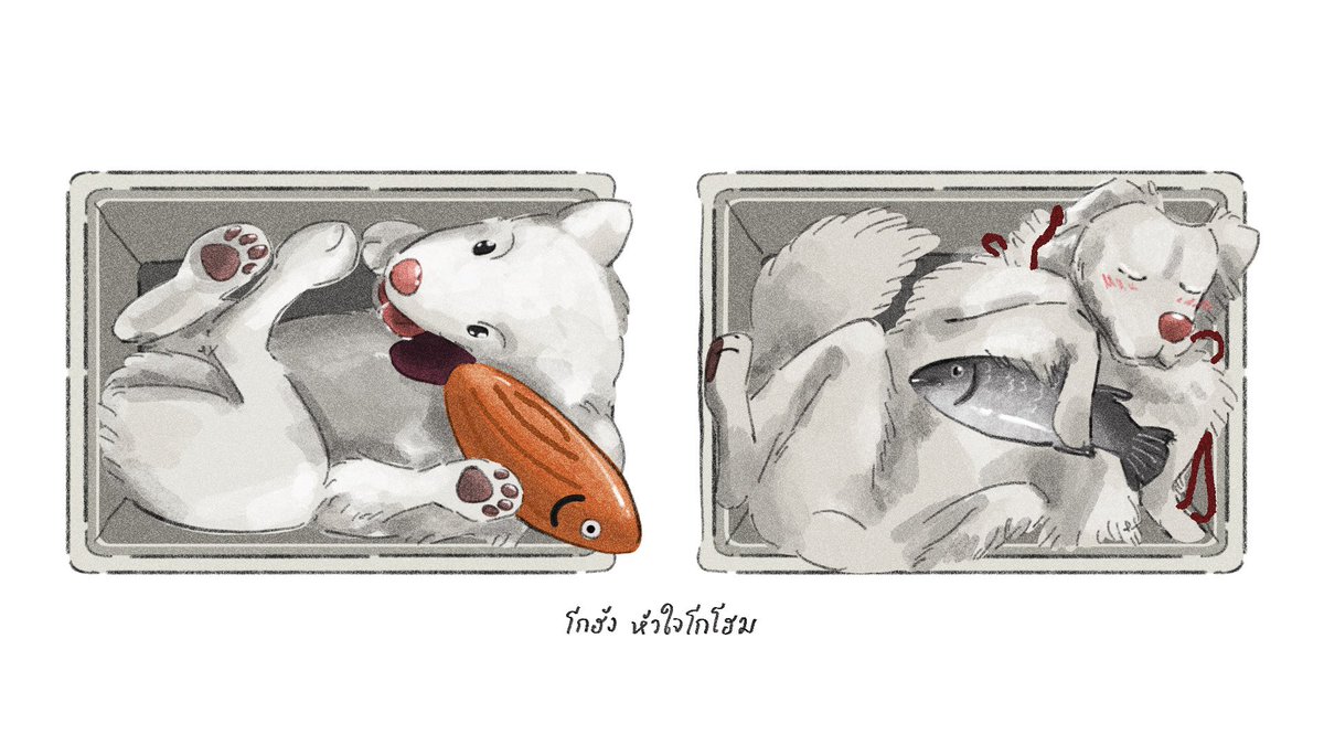 🐠🐟🐕 #โกฮังหัวใจโกโฮม