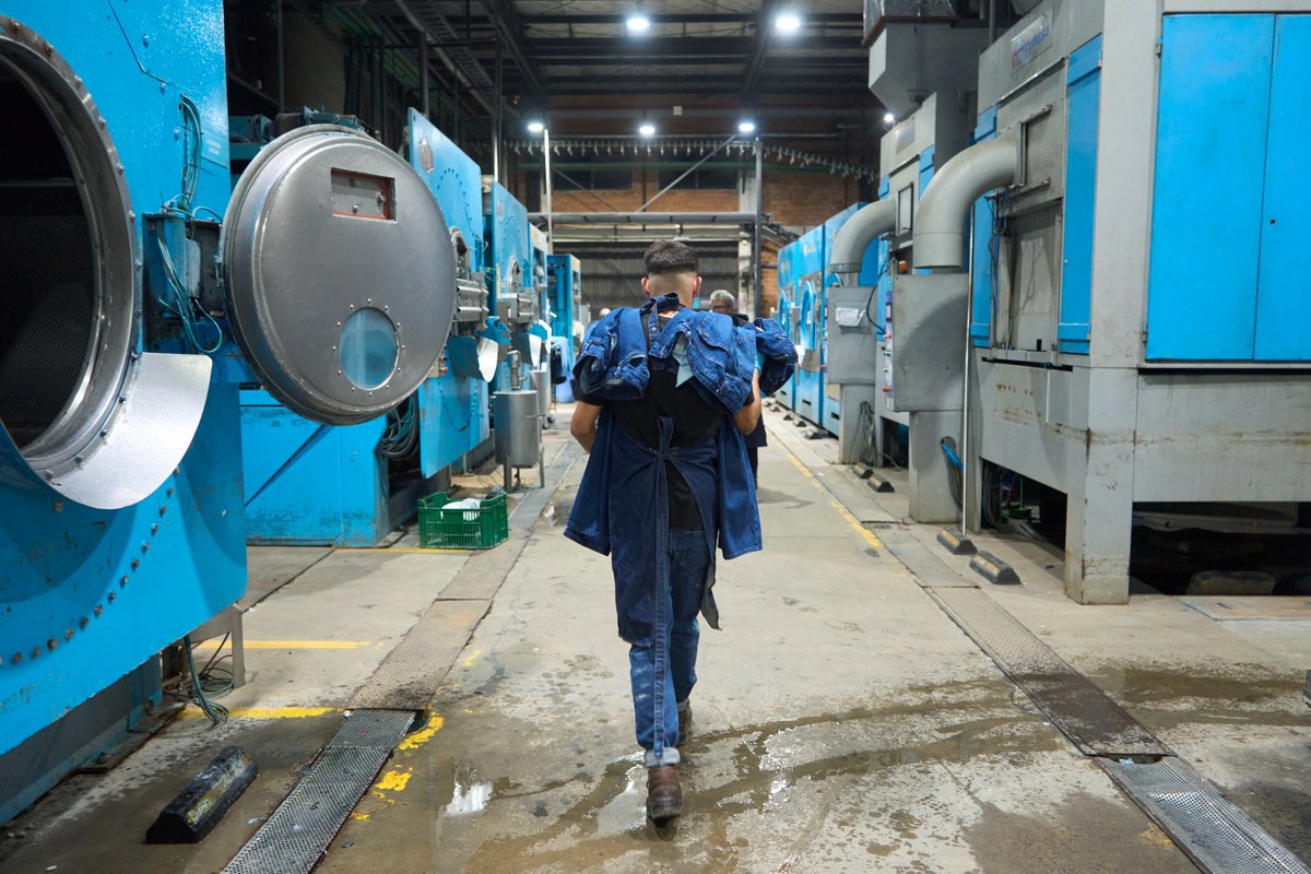 Santi Carneri Tamaryn tweet media