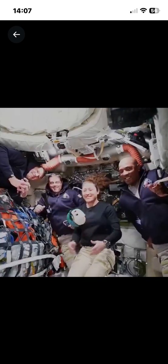 Mi Dazolam tweet media