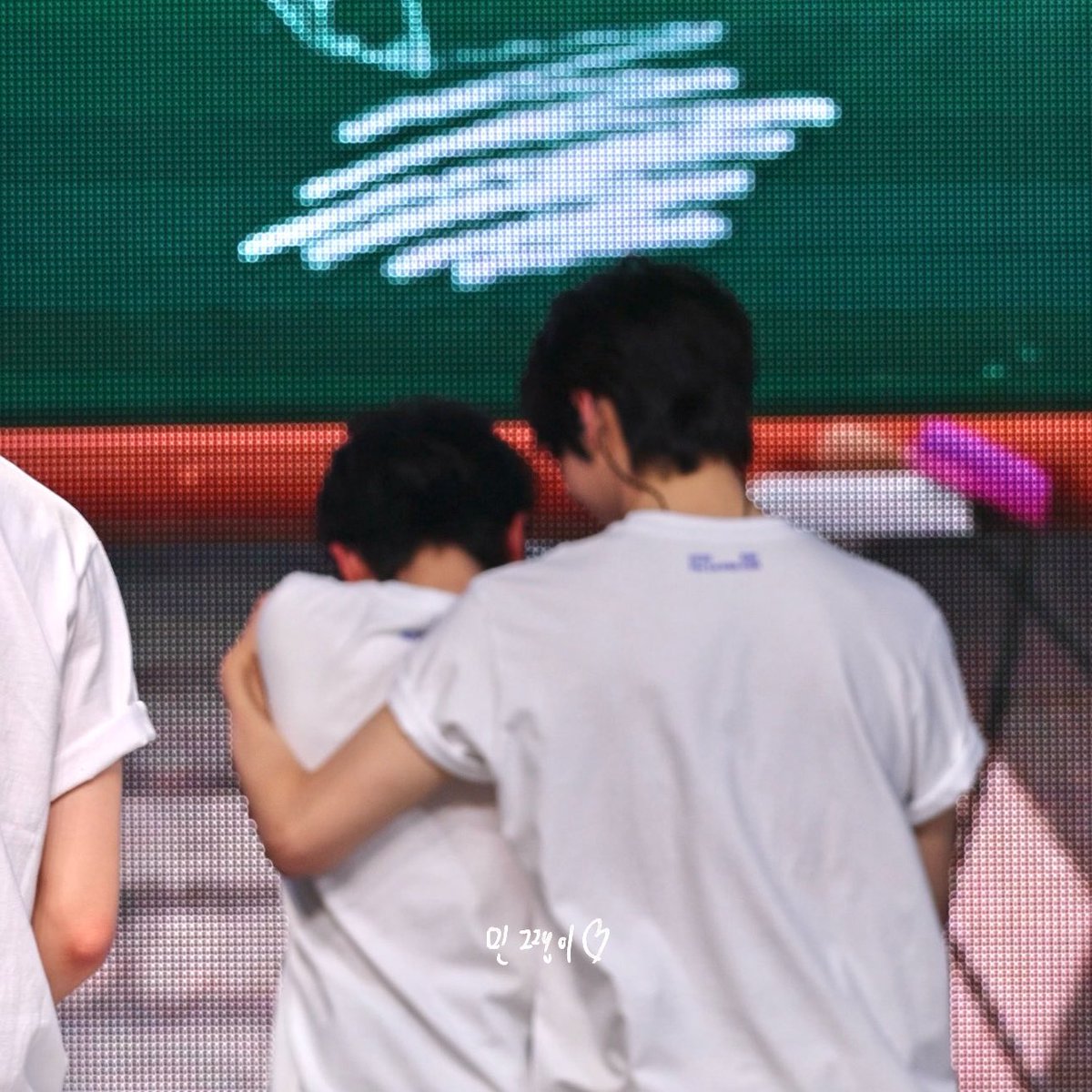 ૮ 민쨍이 ა tweet media