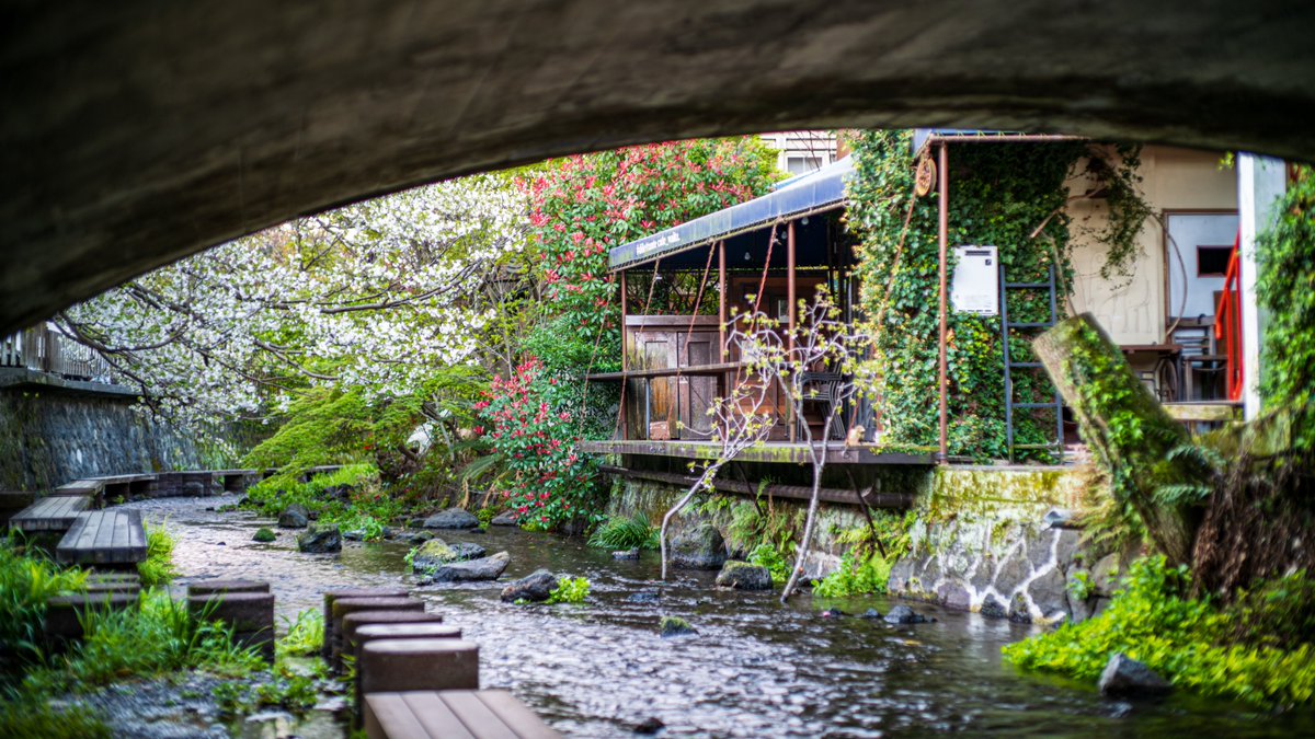 サカシタ tweet media