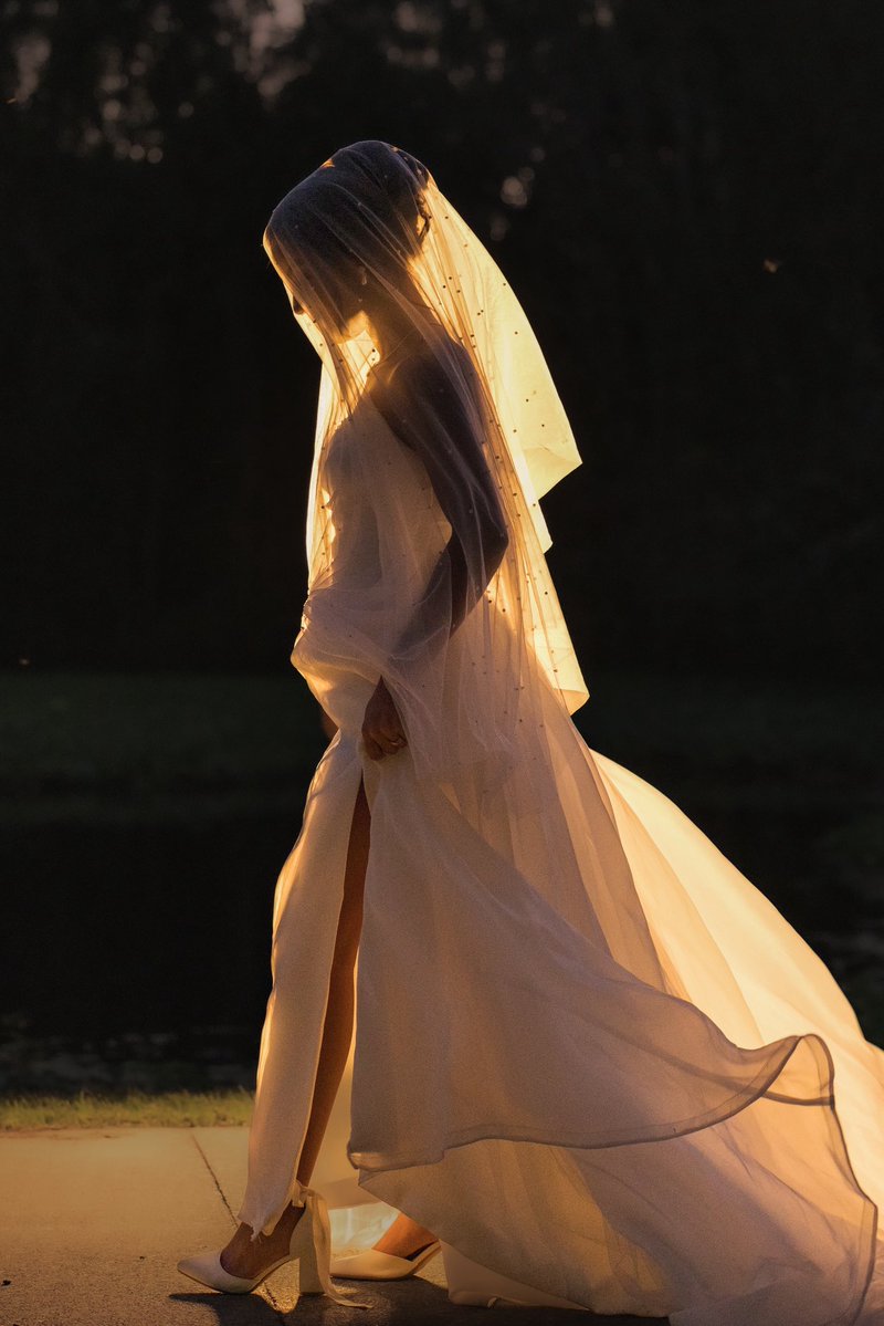 carol lins 3x4 tweet media