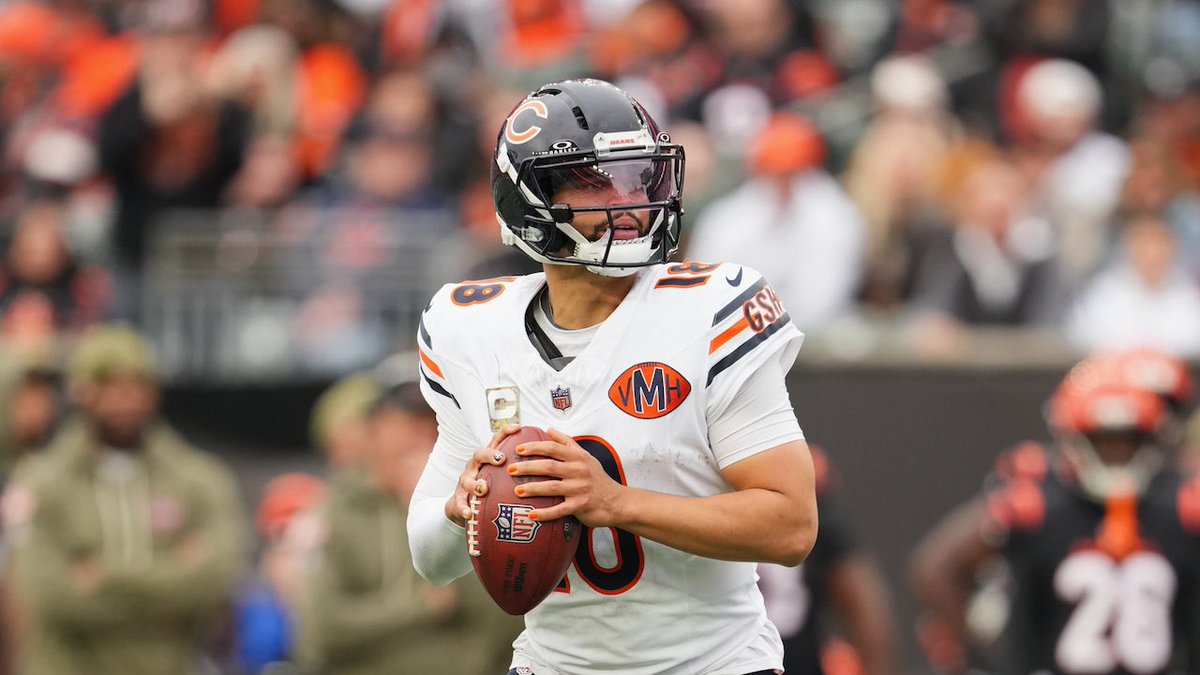 BearsMuse tweet media