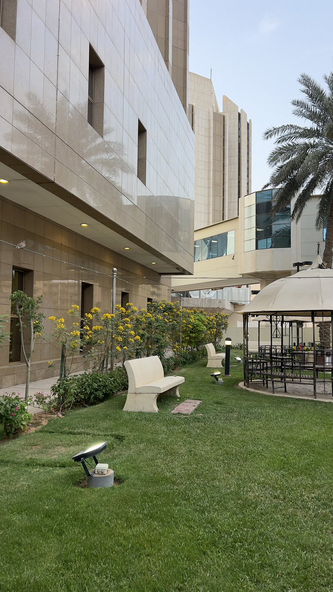 محمد جراح tweet media