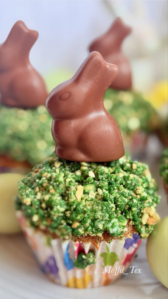 Carla Moffit🇪🇸🇺🇸🇩🇪🐶📷🍎📚🎹🎶🎶 tweet media