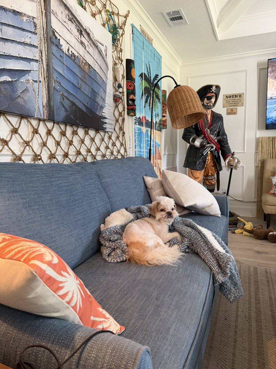 Tiki 😎🏝🏴☠️ tweet media