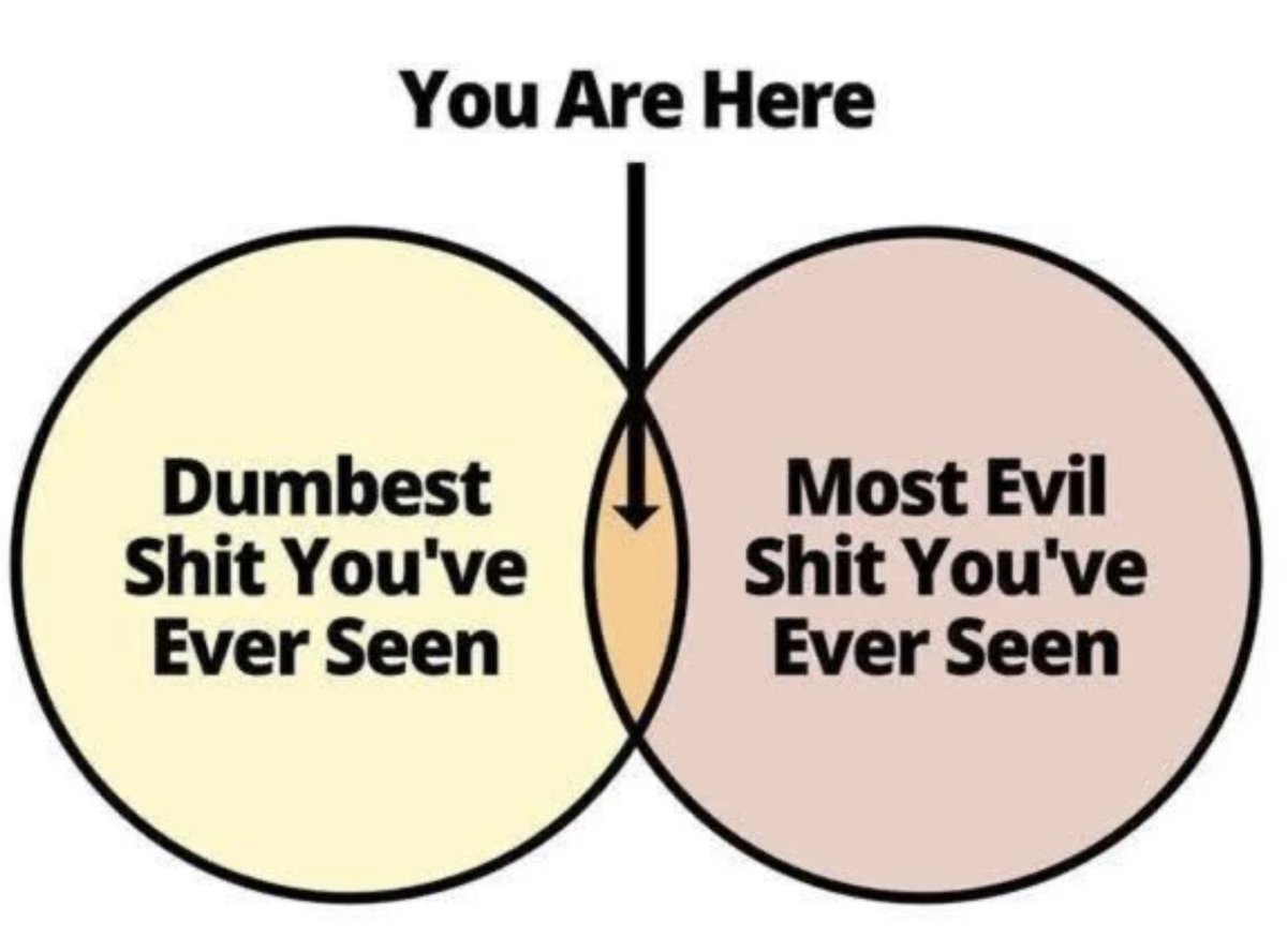 Rockin’ Robin Tweet Tweet tweet media