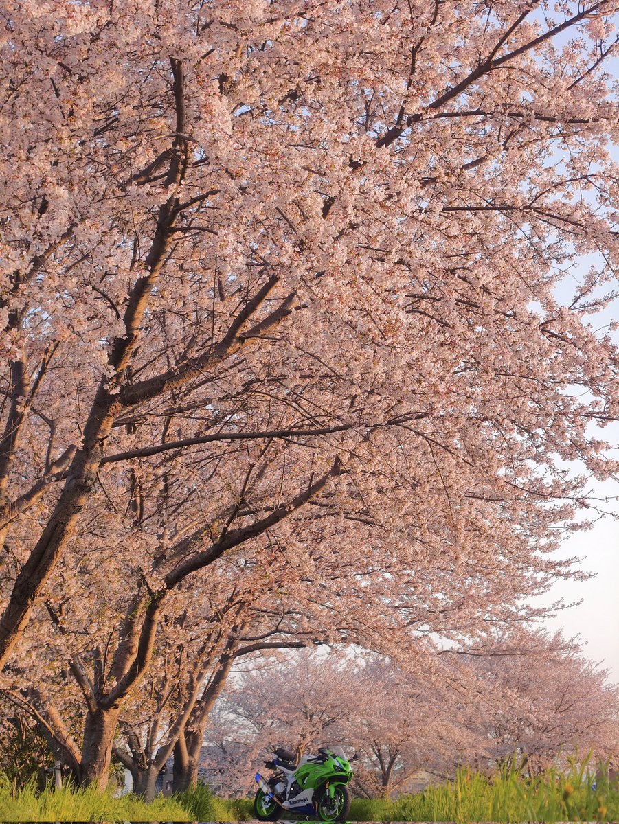 y@sutaka tweet media