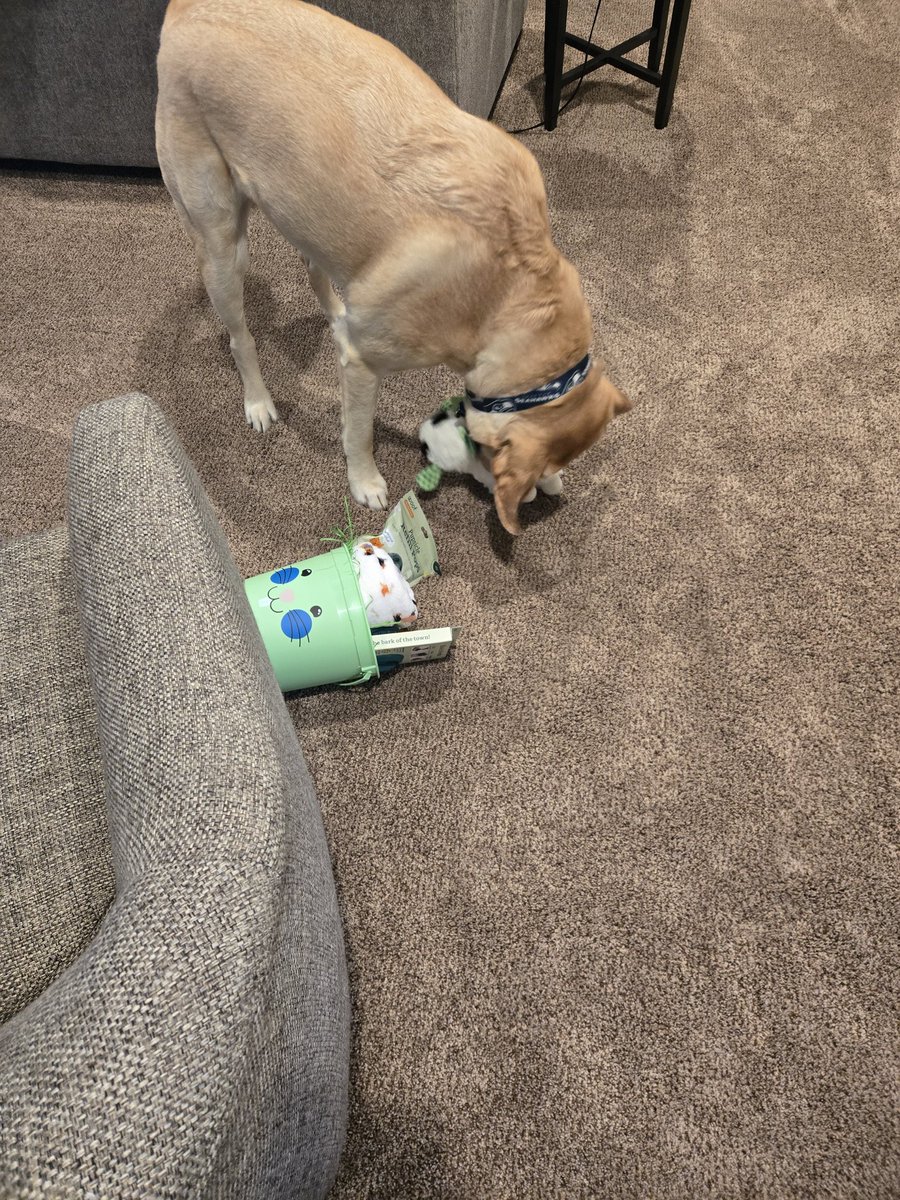 Chris G.🇺🇸 tweet media