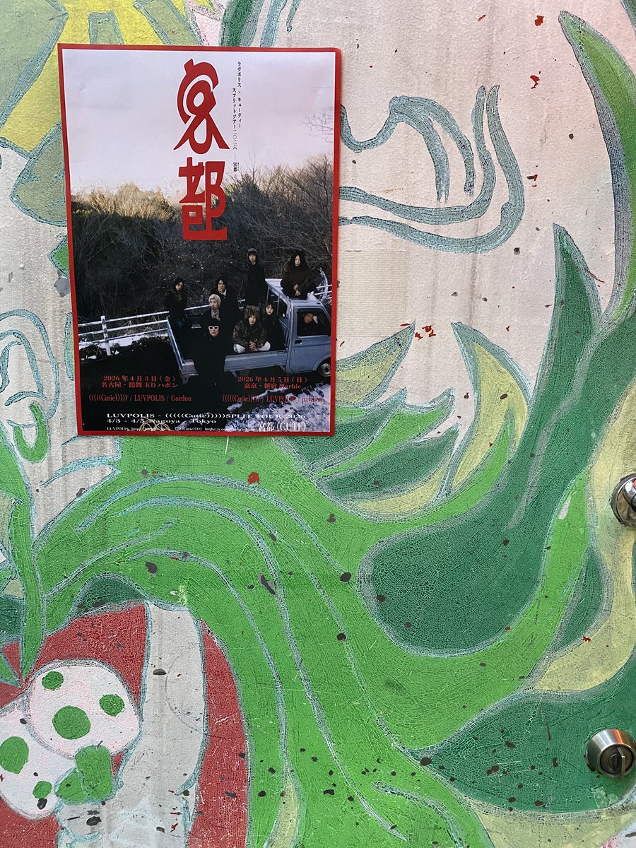 ｶｵﾘ tweet media