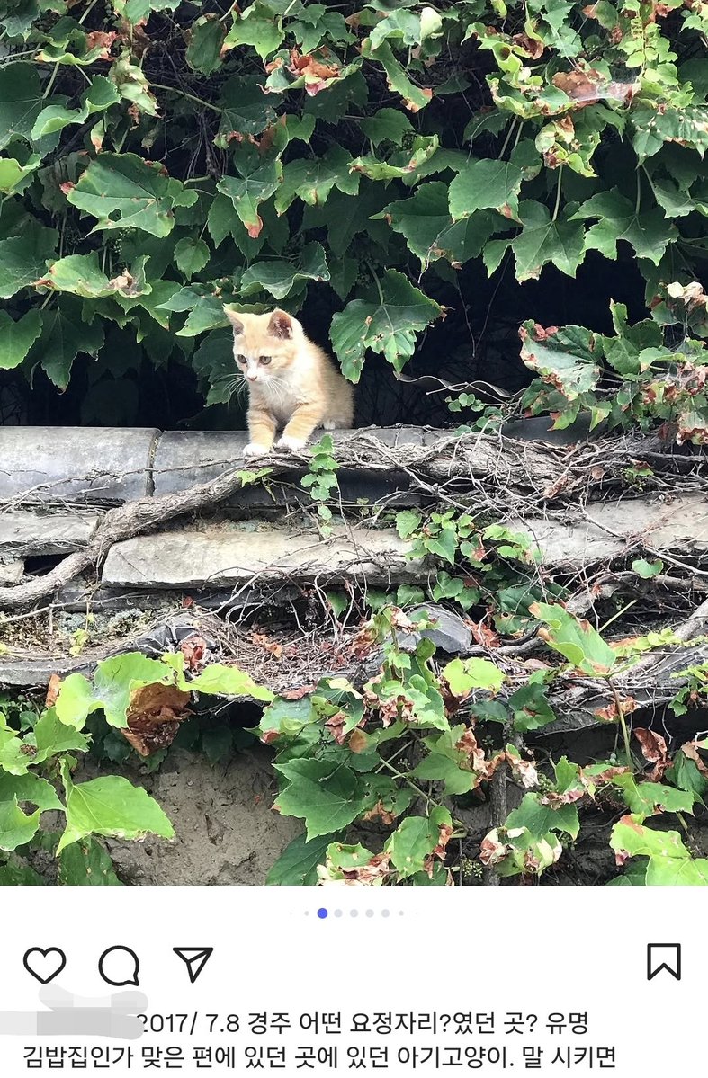 HighMin🐳 tweet media