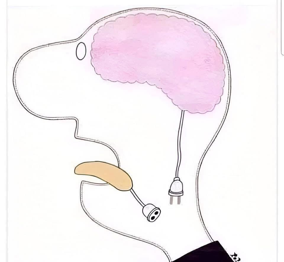 Tom de Kruijff tweet media