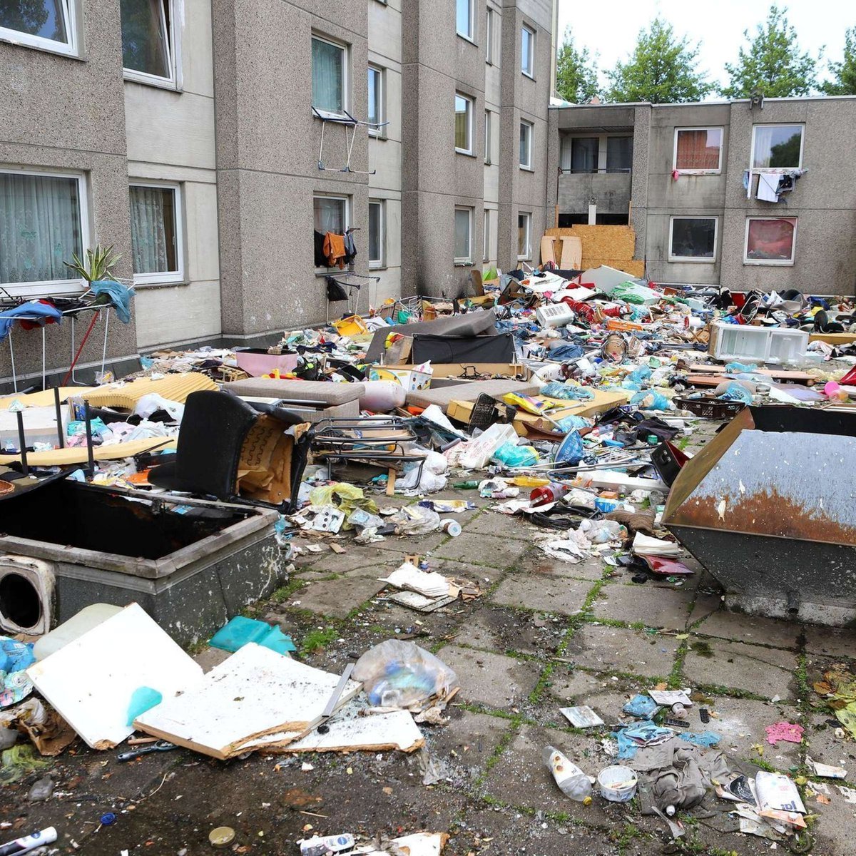 Daniel van der Ree 🇳🇱 tweet media