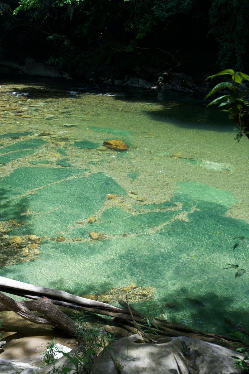 CATALINA CRUZ tweet media