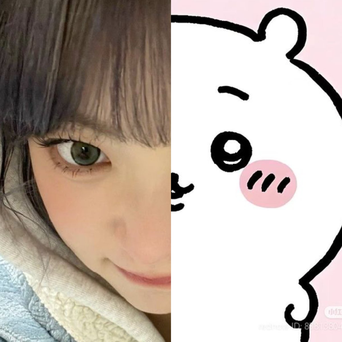 fresita ✿ -11🐧 tweet media