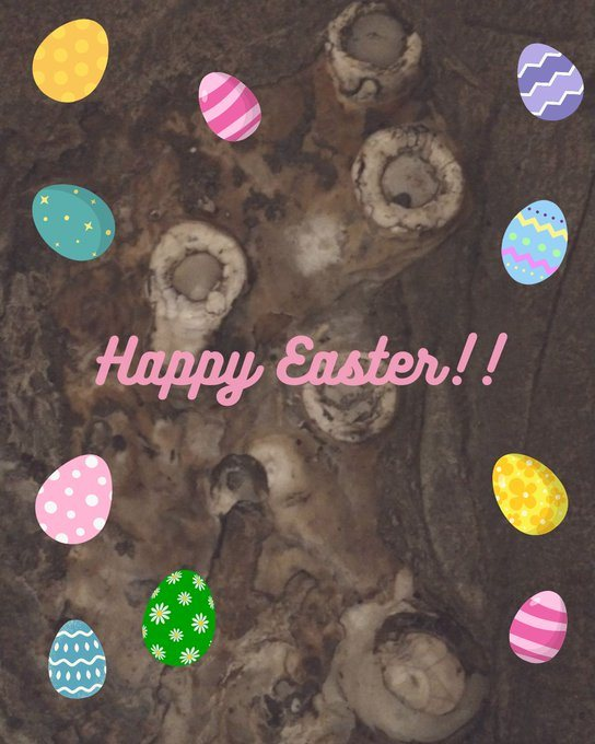 Crystal Cave tweet media