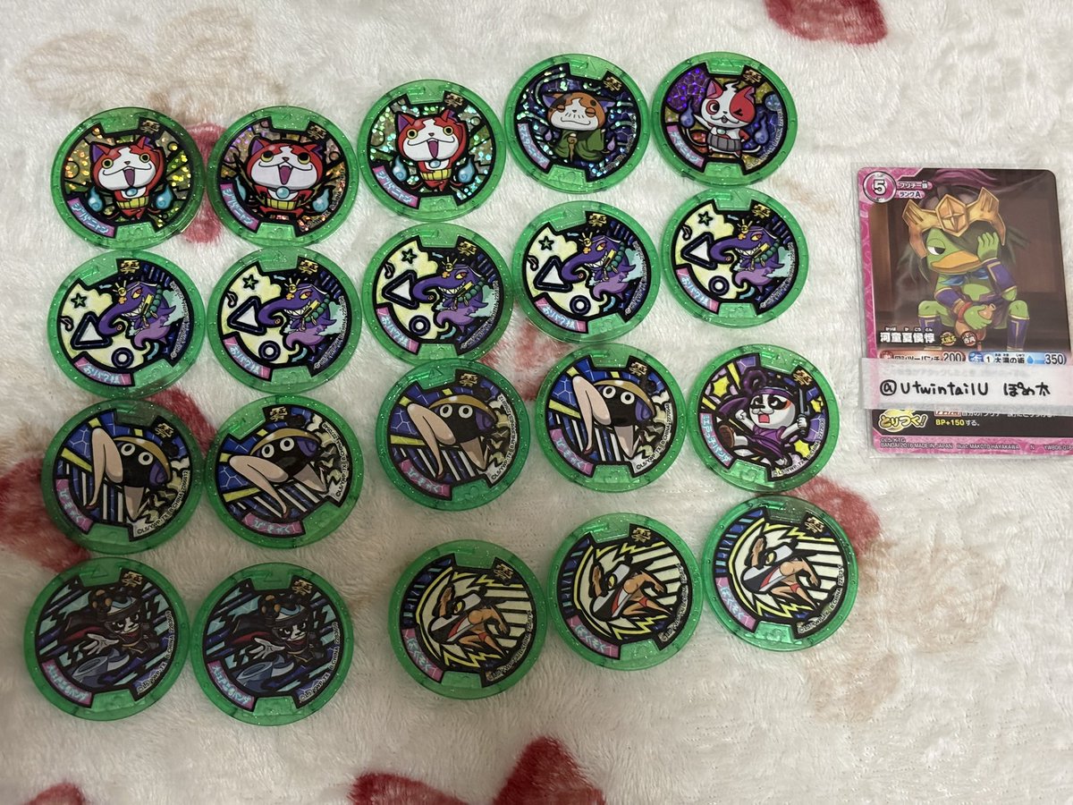 ぽめ太@初回リンク先必読 tweet media