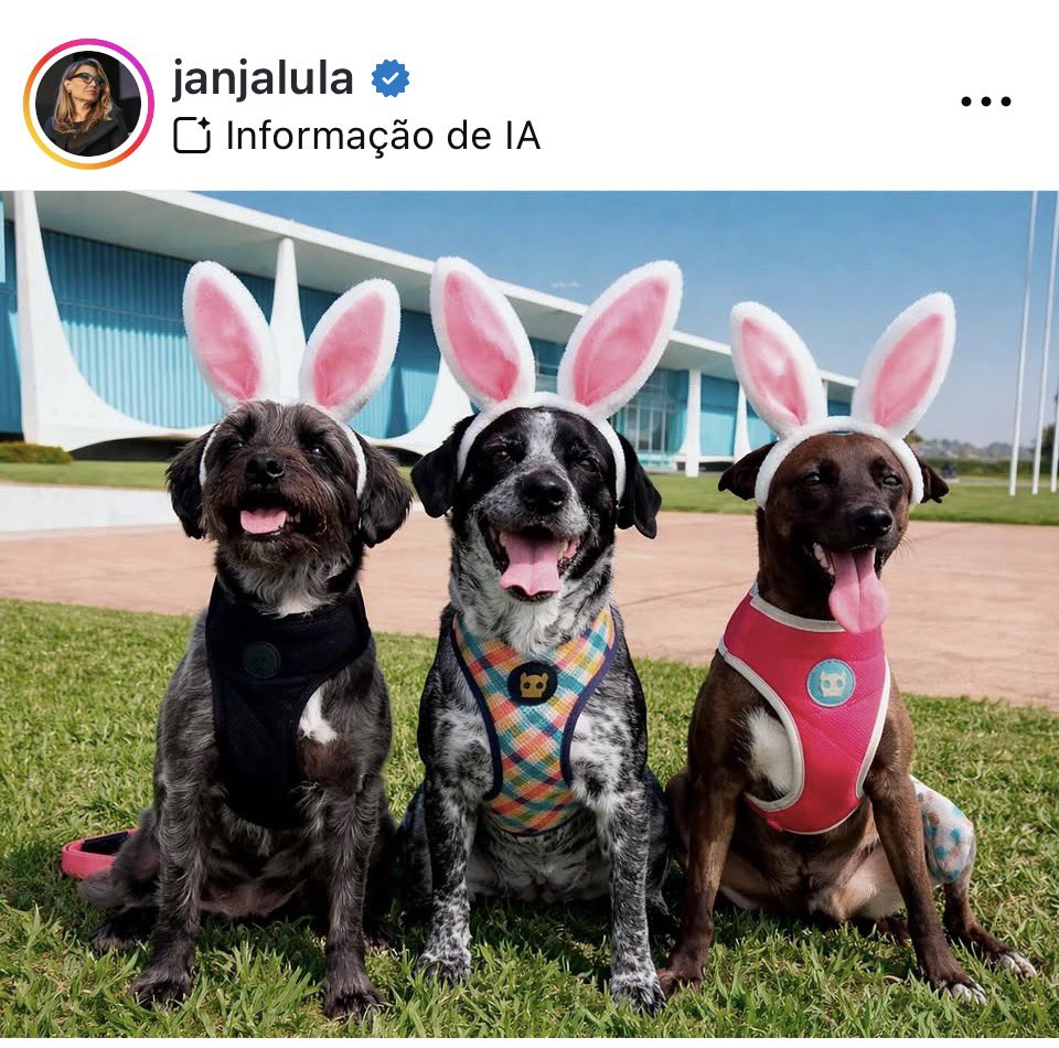 Senhora RIVOTRIL🚩❤️ tweet media