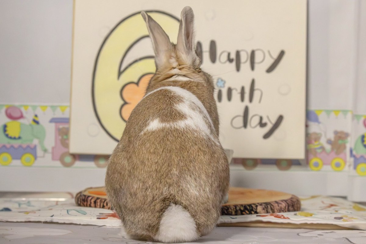 あやか tweet media