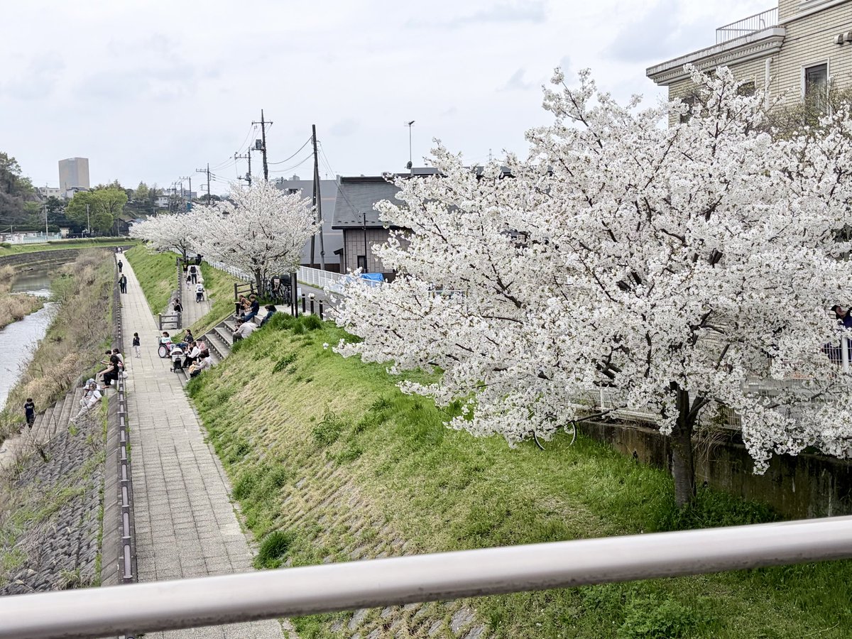 棚からチョコ餅 /しそ tweet media
