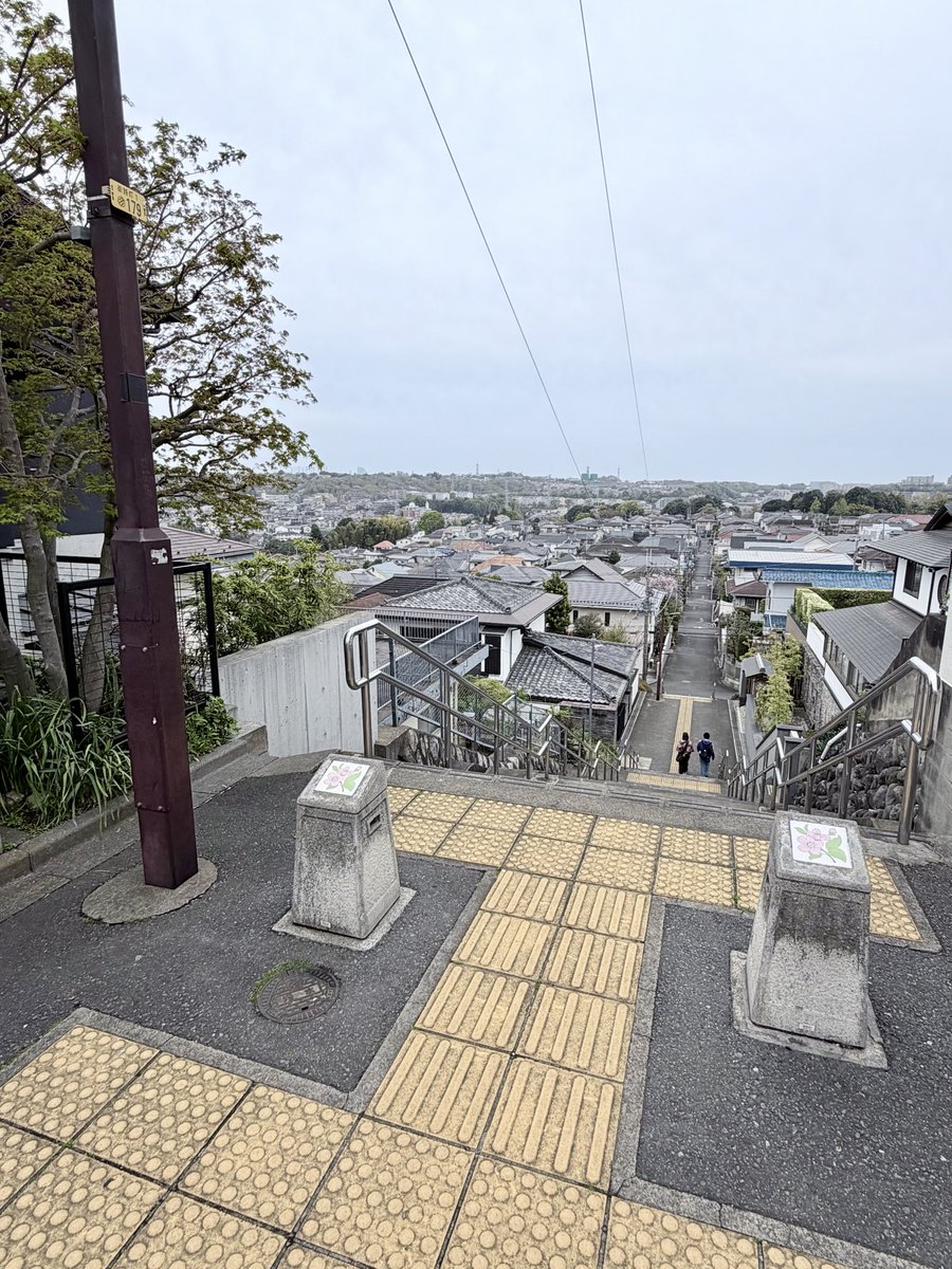 棚からチョコ餅 /しそ tweet media