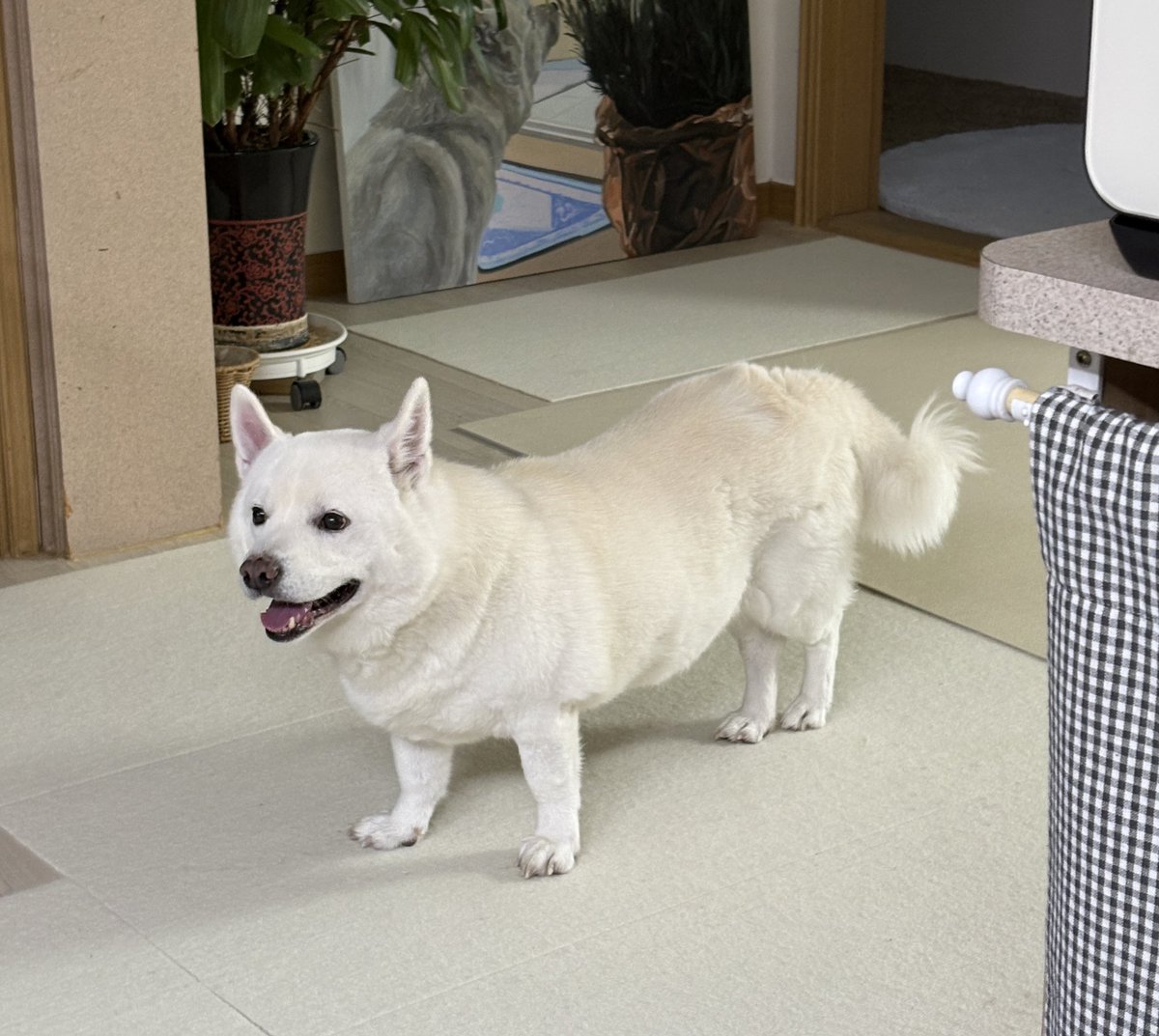 🐻‍❄️내이름은 윤석이🐻‍❄️ tweet media