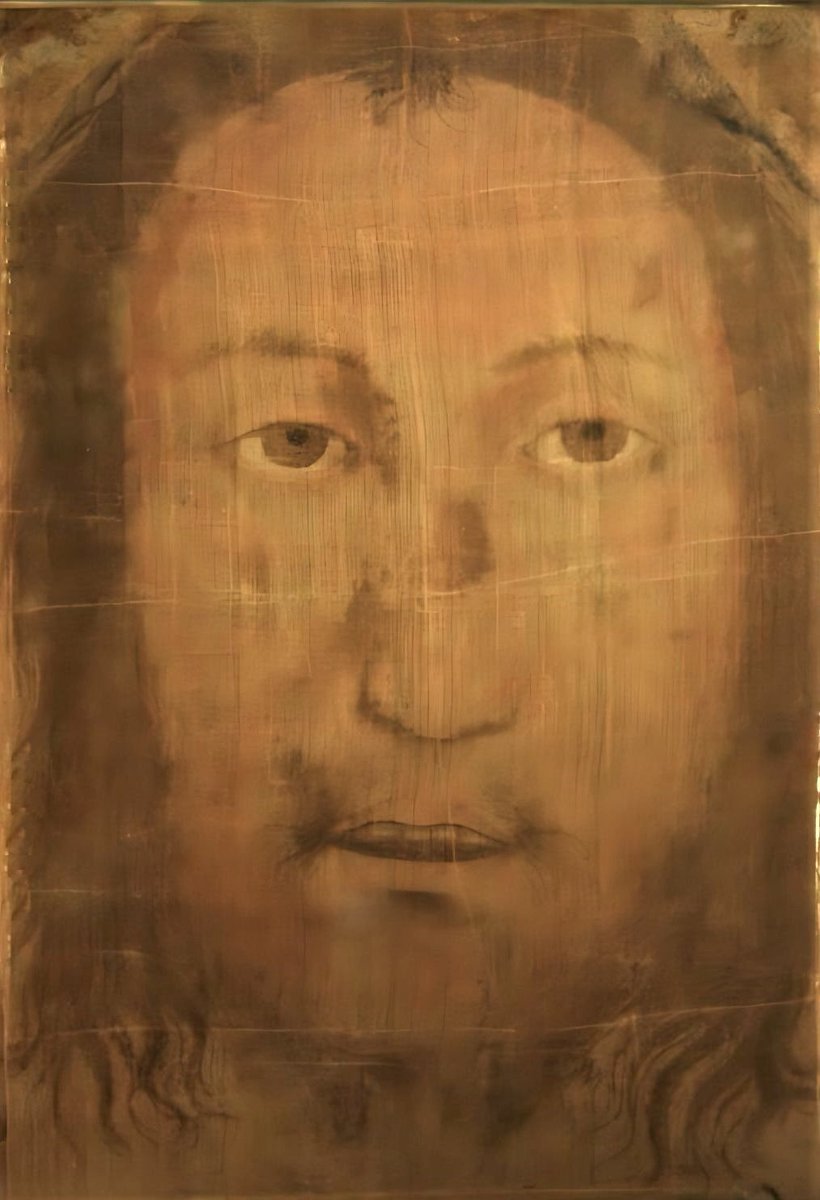 Rocco Conte tweet media