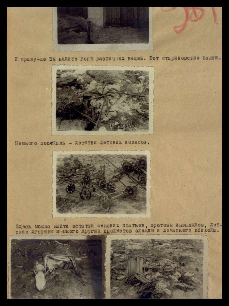 MFA Russia 🇷🇺 tweet media