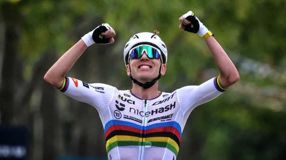 Alex Datos tweet media