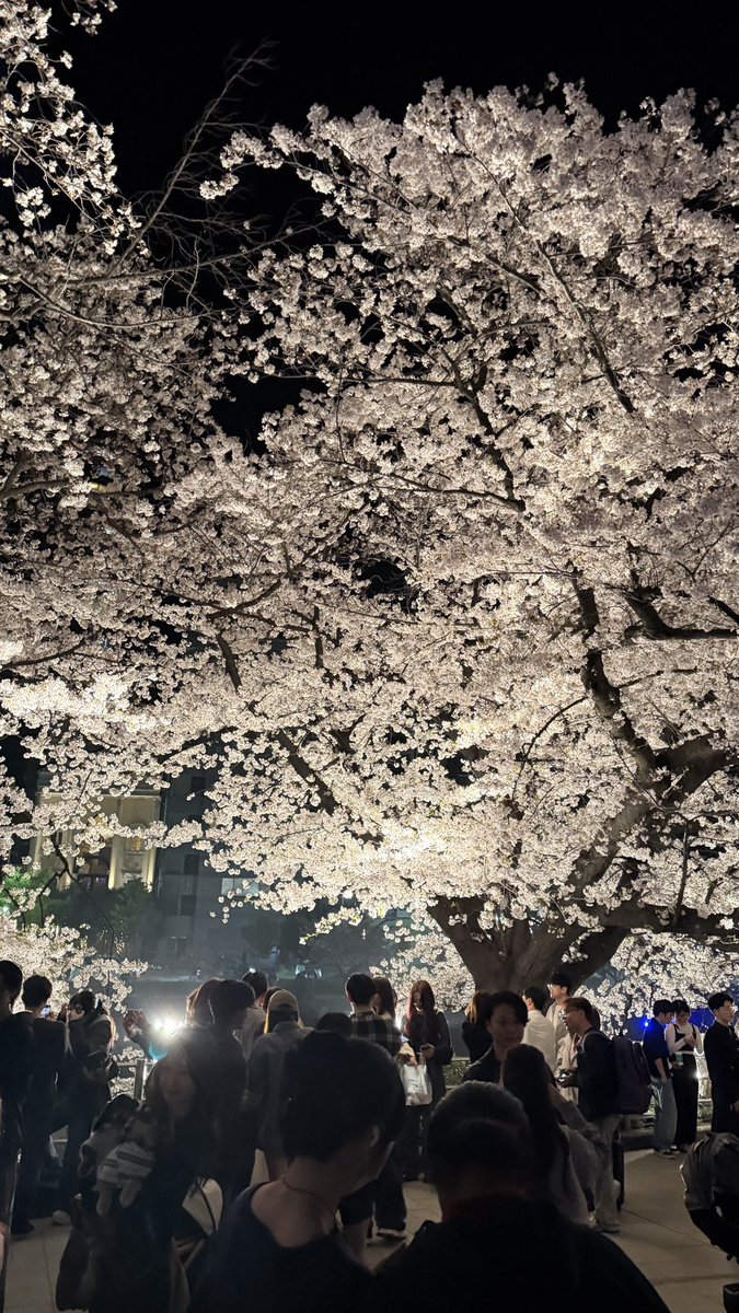 ろっぴき🌱🌩️ tweet media