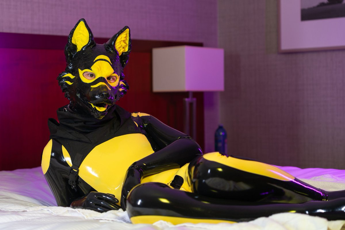 Qutie/Drany/Haru🔥➡️FWA,AC tweet media