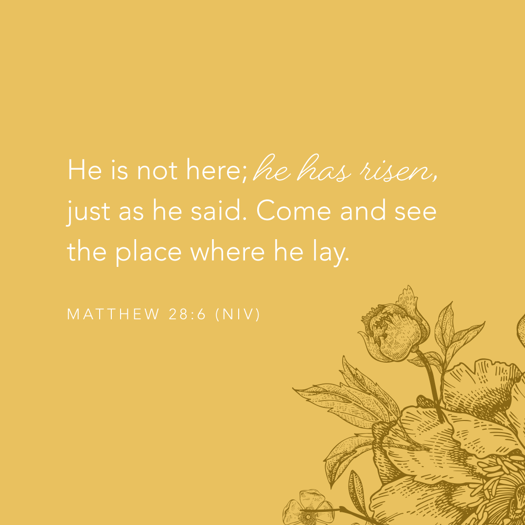 Joyce Meyer tweet media