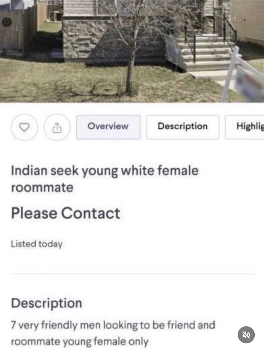 Braindead Bird App tweet media